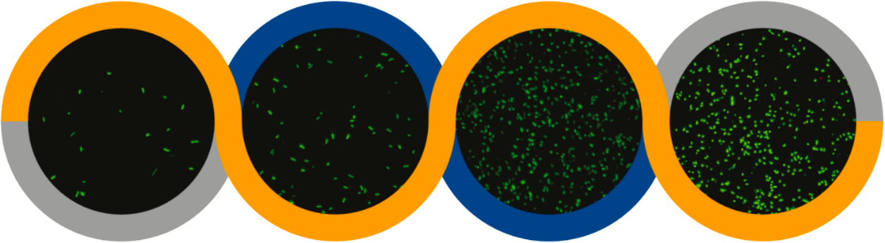 Z6·尊龙「中国区」官方网站
