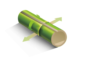 Z6·尊龙「中国区」官方网站