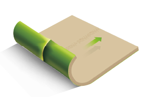 Z6·尊龙「中国区」官方网站