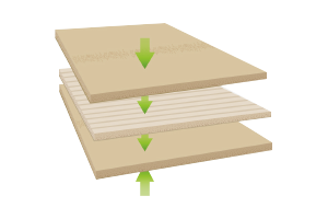 Z6·尊龙「中国区」官方网站
