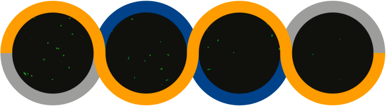 Z6·尊龙「中国区」官方网站