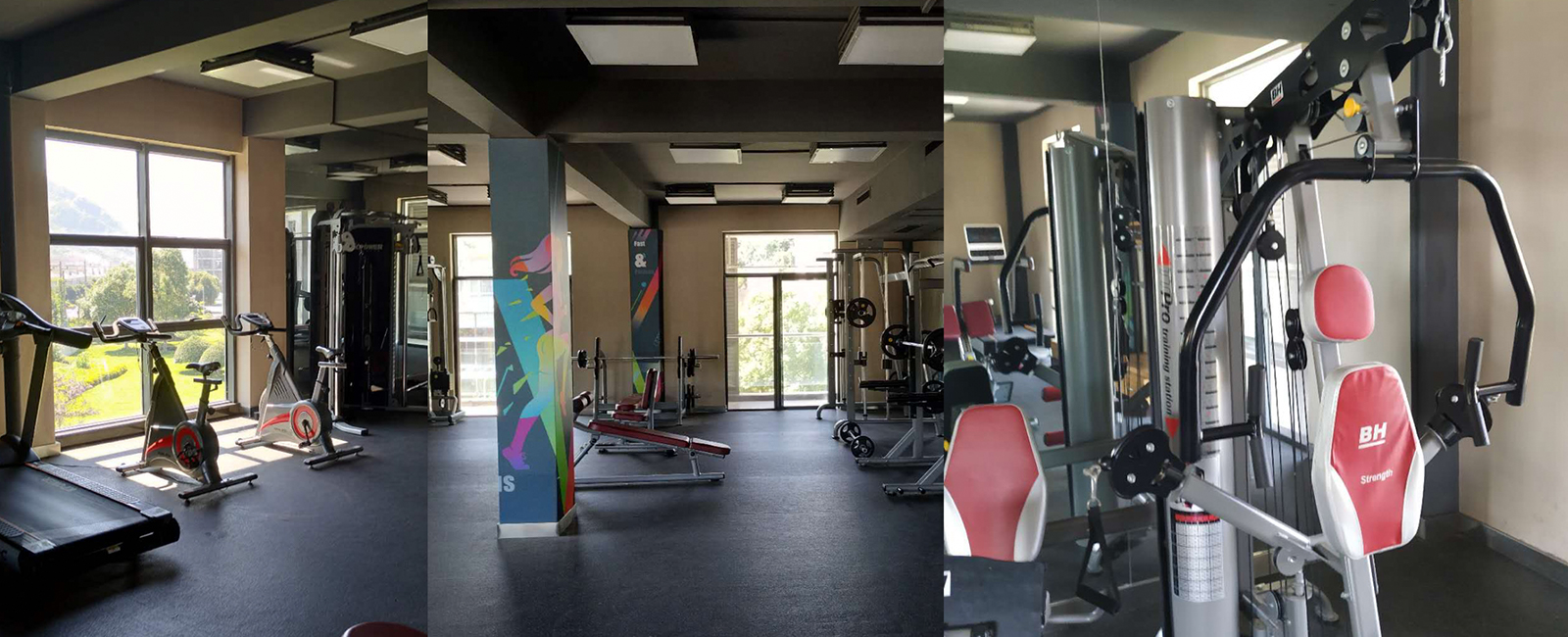 Z6·尊龙「中国区」官方网站