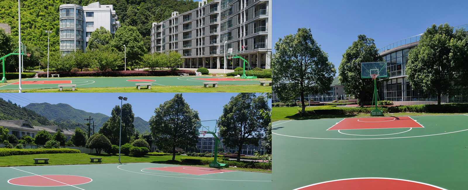 Z6·尊龙「中国区」官方网站